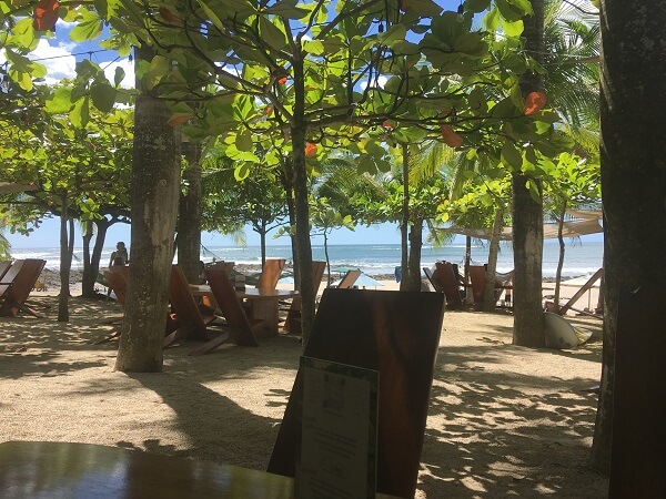 Tables located under the shade of the beech almond trees.