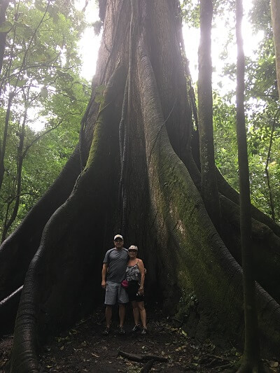 Huge ceiba tree on the lower Arenal trail