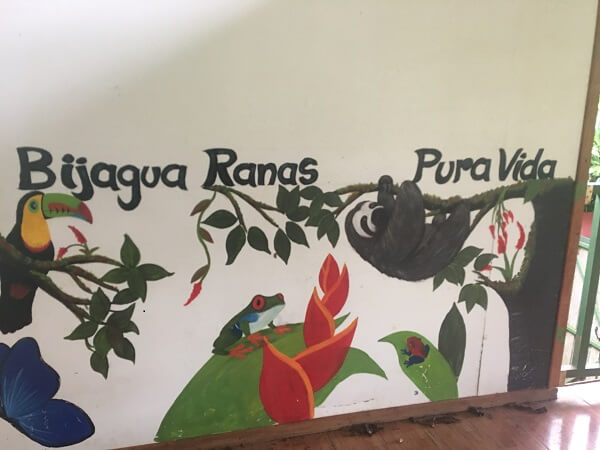 Colorful wall painting at Bijagua Ranas showing the types of creatures that you will be able to see such as toucans, frogs, sloths and more.