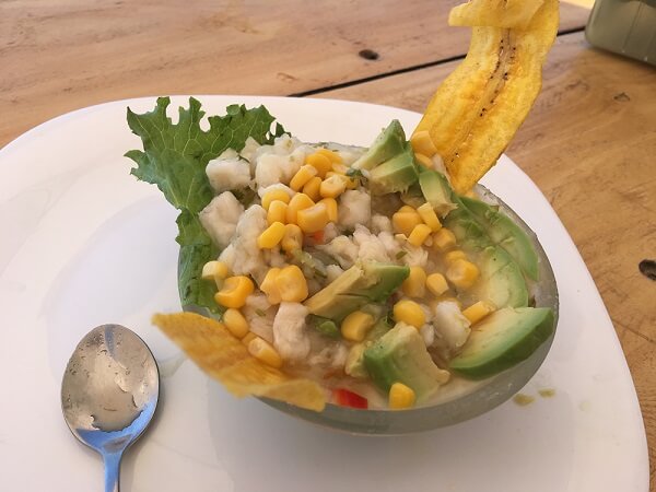 Costa Rican Ceviche, fresh fish, plantains and avocados.