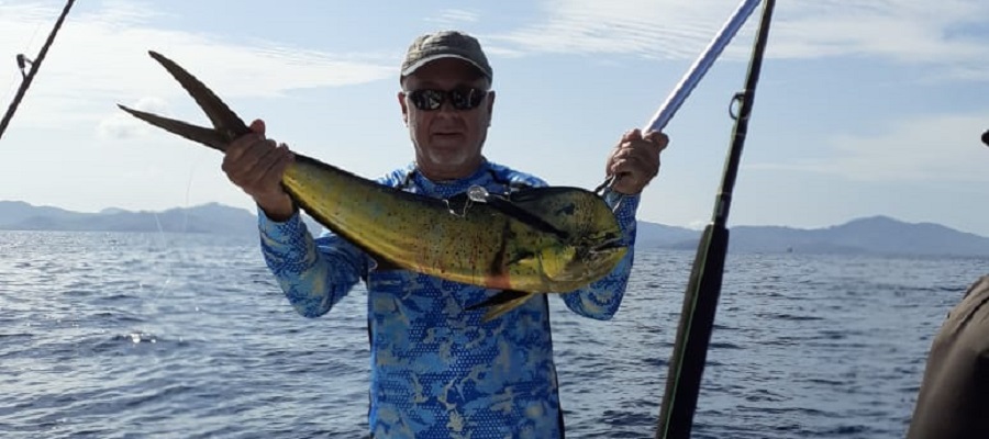 Beautiful multi-colored dorado with Rapala still hanging from its mouth.