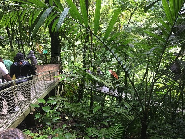 Some of the 500 stairs at La Fortuna Falls