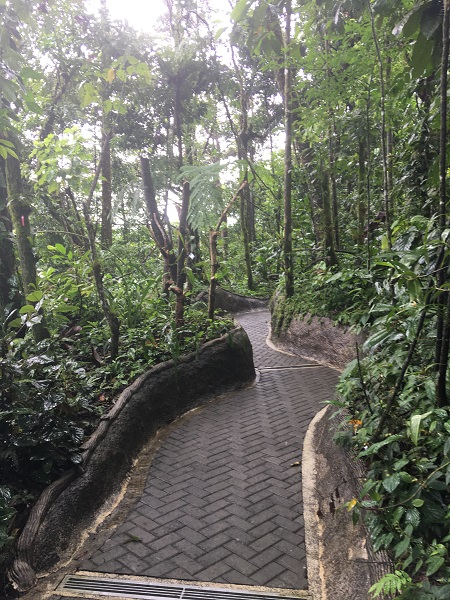 The orchid garden walkway