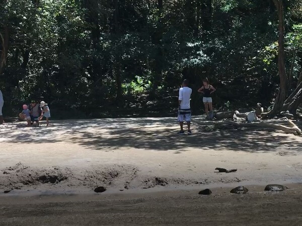 Small beach at Llanos de Cortes.