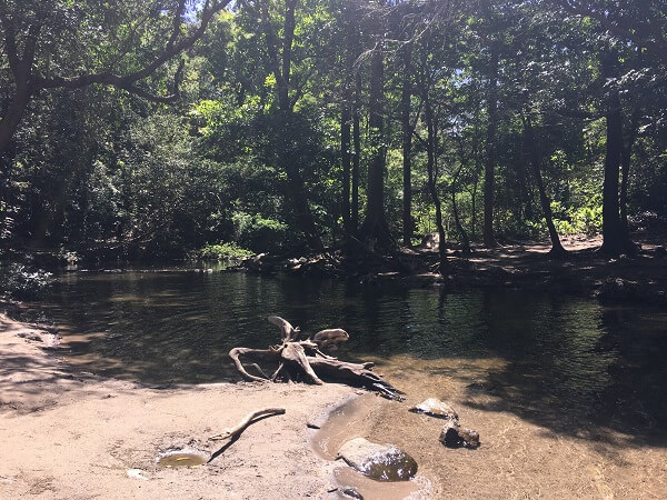 The river slowly runs through Llanos de Cortes.