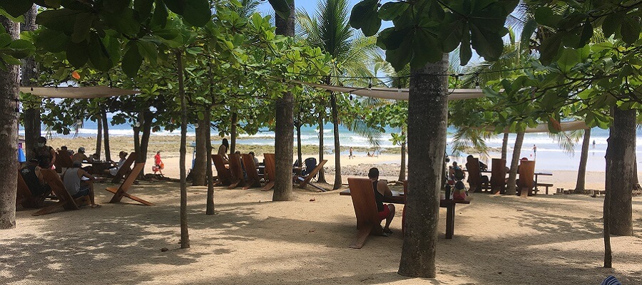 People enjoying lunch outside on the beach and under the shade of several beech almond trees.