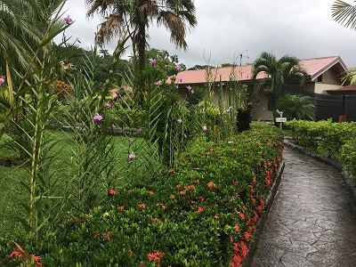 Lush landscaping lines one of the walkways