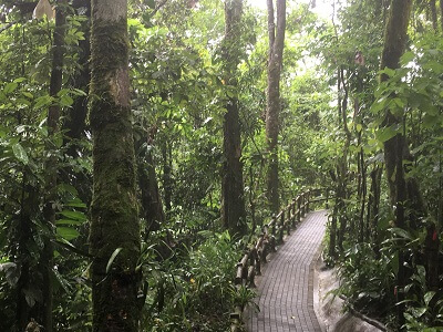 The La Fortuna orchid trail