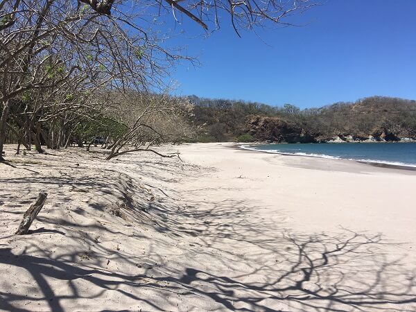 View of the white sand looking south from Playa Zapotillal.