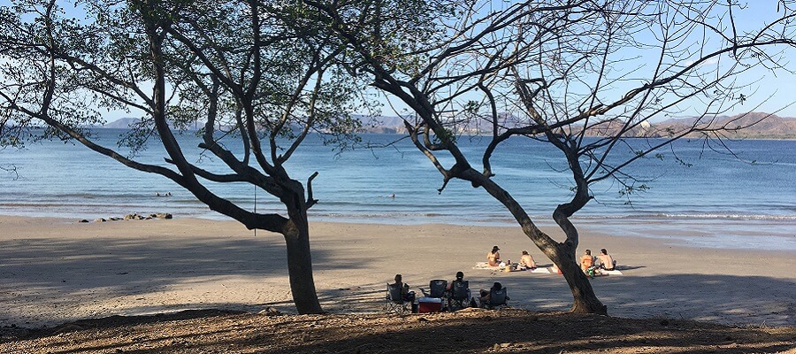 A few trees provide some cooling shade next to the calm waters of Puerto Viejo beach in Costa Rica.