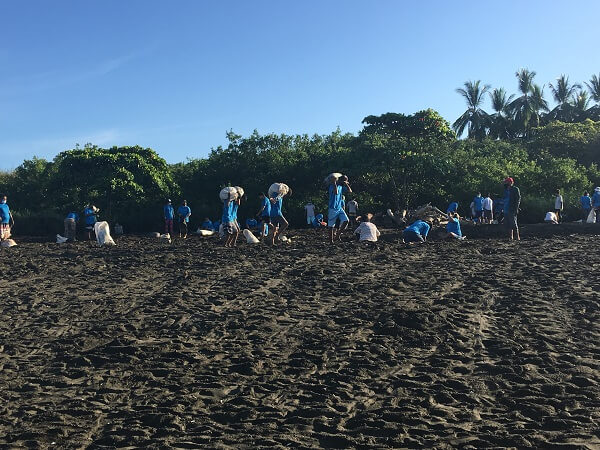 Locals carry bags of harvested eggs to be sold or consumed.