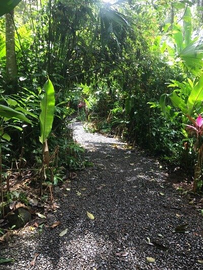 One of the trails at Bijagua Ranas with gravel on top of the dirt providing better footing.