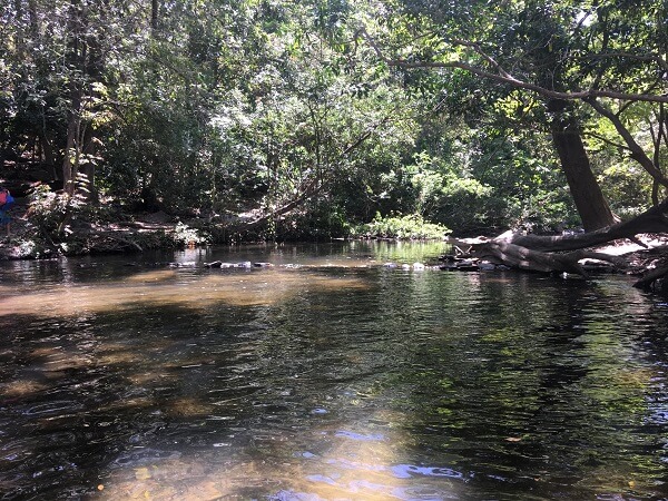 Calm pools and river at the Llanos de Cortes waterfall.