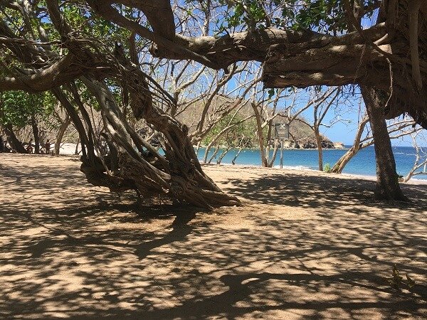 View of the water from the shade canopy near the entrance.